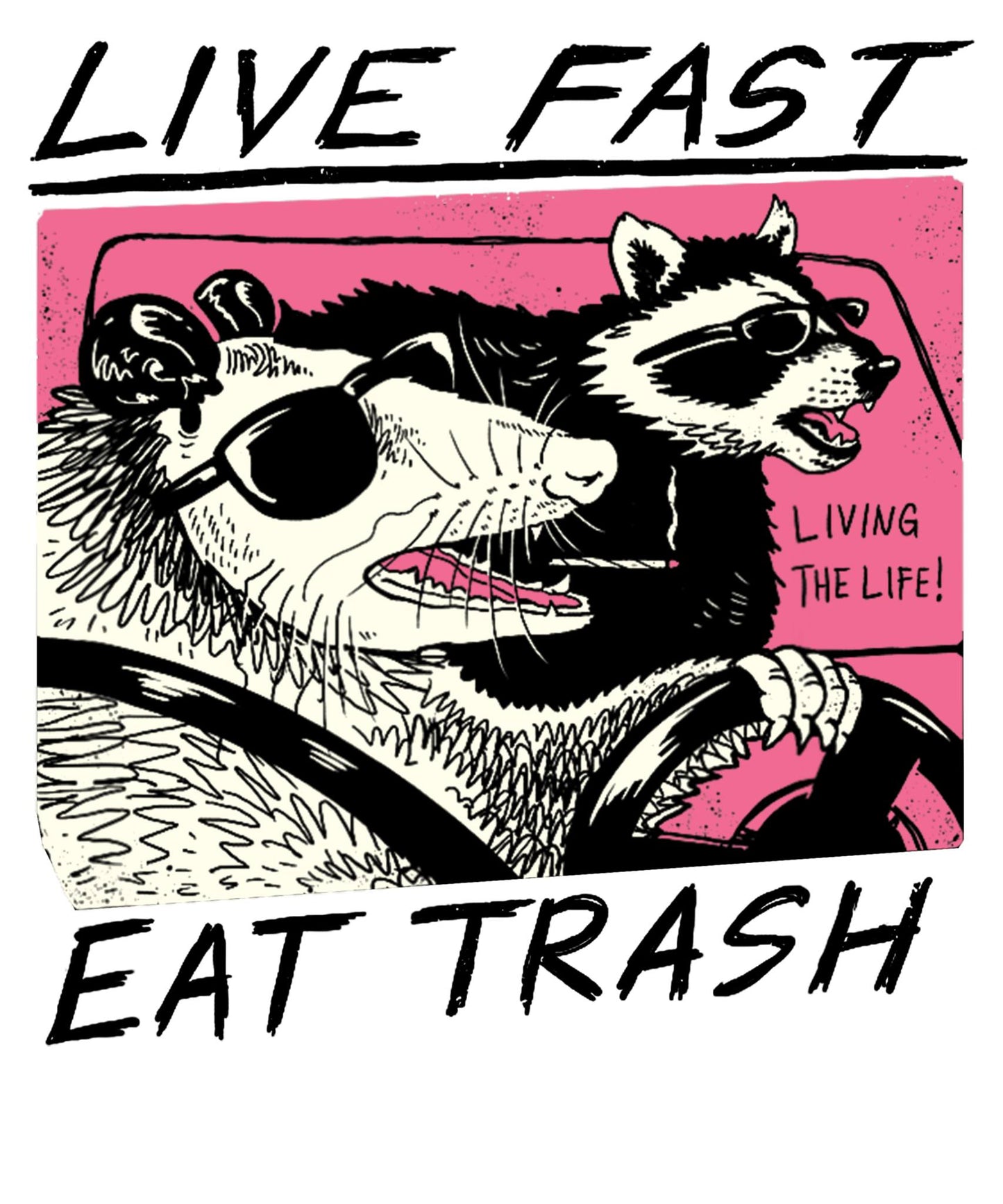 Live Fast Eat Trash
